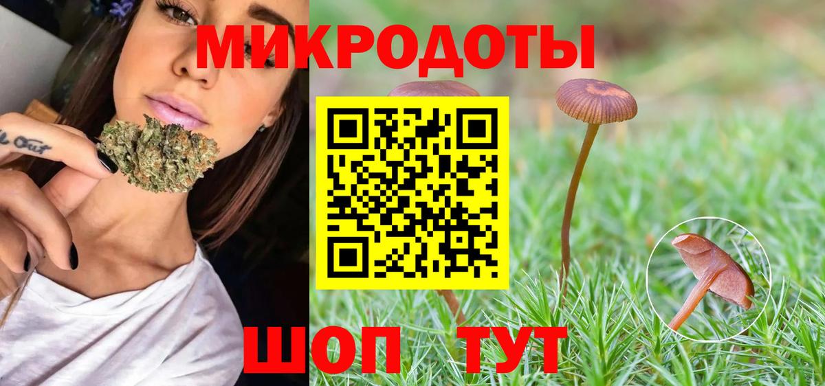 Вологда  Галлюциногенные грибы Cubensis  Вход с VPN  Галлюциногенные грибы Psilocybe 